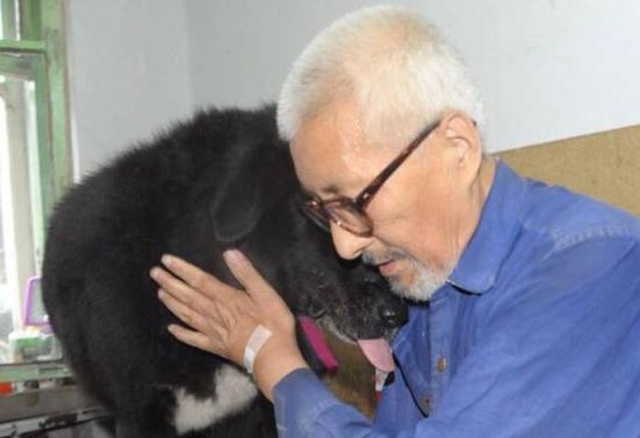 Пожилой китаец завещал все свои деньги собаке