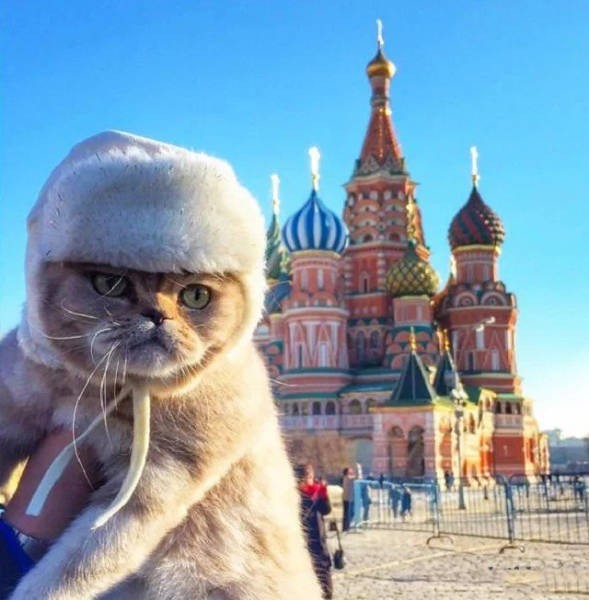 Фото возможное только в России