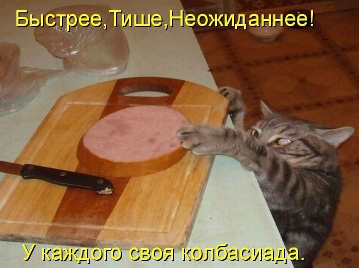 Забавные котоматрицы