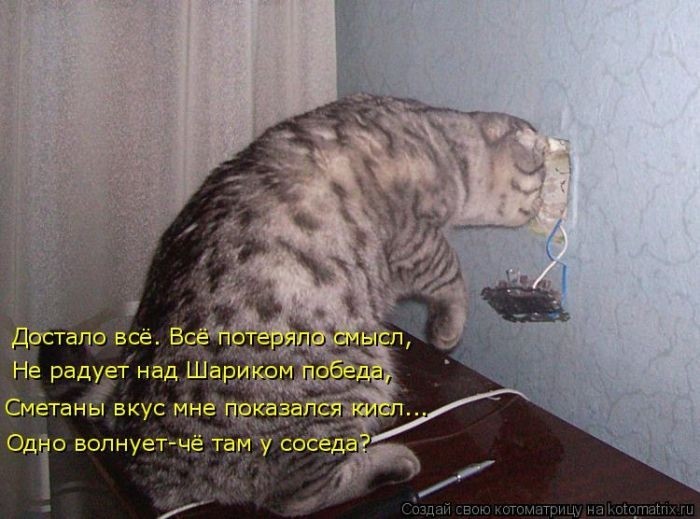 Забавные котоматрицы