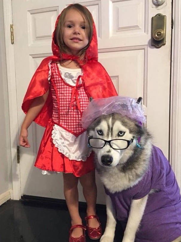 Забавные костюмы собак для Хэллоуина