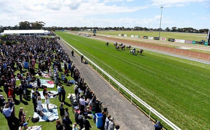 Австралийские скачки Geelong Cup