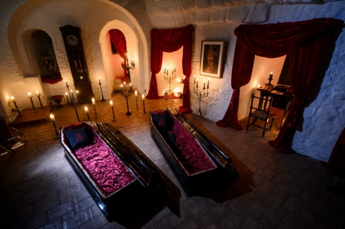 Вы можете провести ночь Хэллоуина в гробу в замке Дракулы