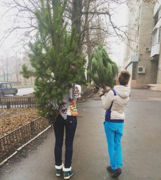 Девушки и женщины, прекрасно справляющиеся с мужской работой