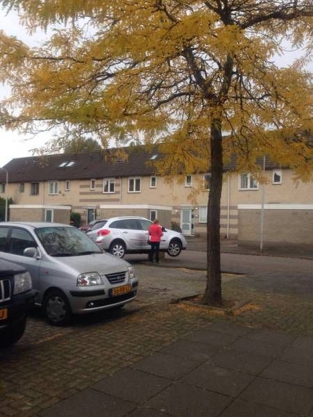 Подборка прикольных фото  (102 фото)