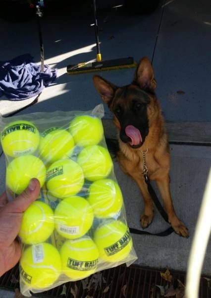 Подборка прикольных фото  (102 фото)