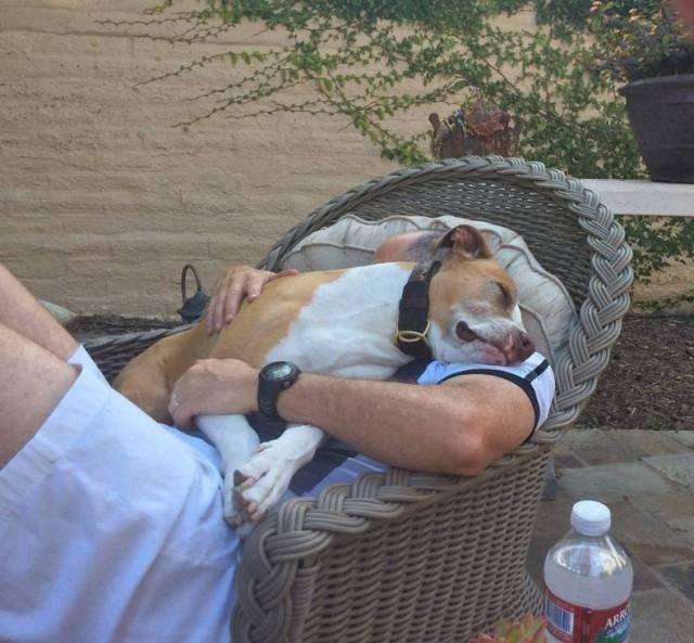 Подборка прикольных фото  (102 фото)