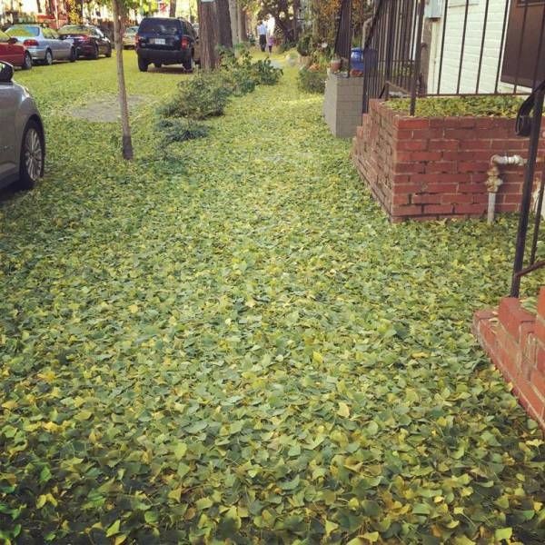 Подборка прикольных фото  (102 фото)