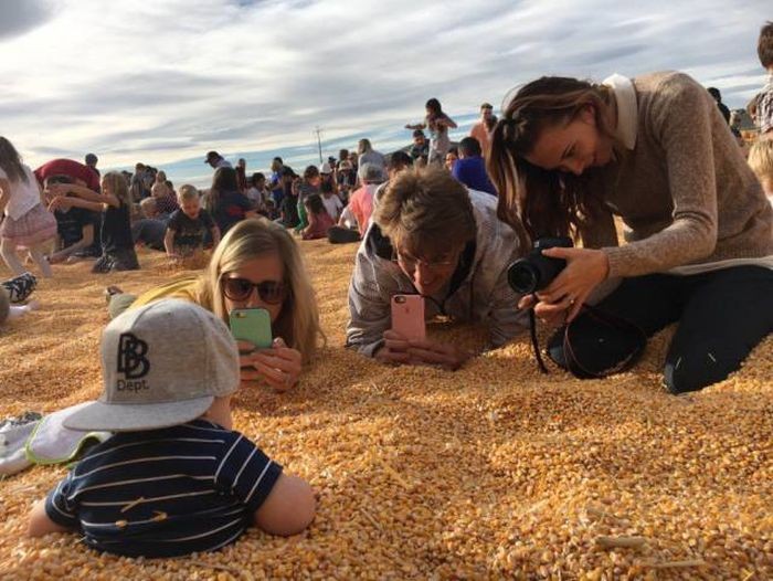 Подборка прикольных фото  (102 фото)