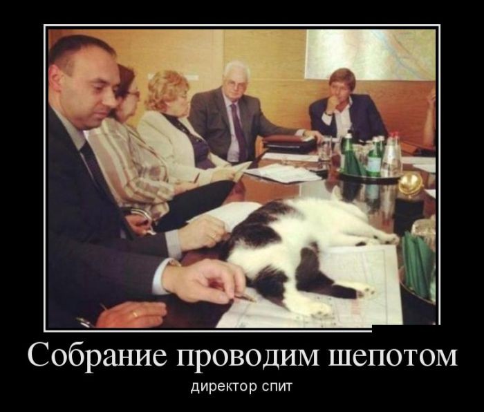 Демотиваторы (30 фото)