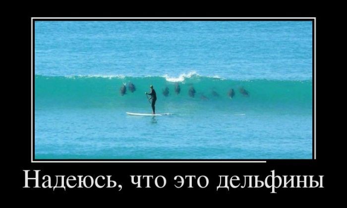 Демотиваторы (30 фото)