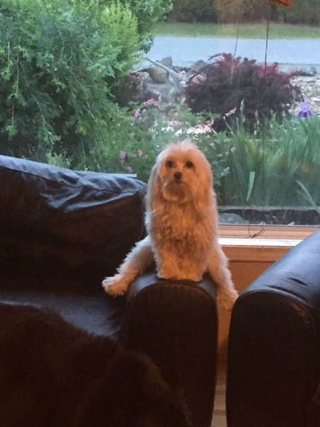 Подборка прикольных фото  (102 фото)