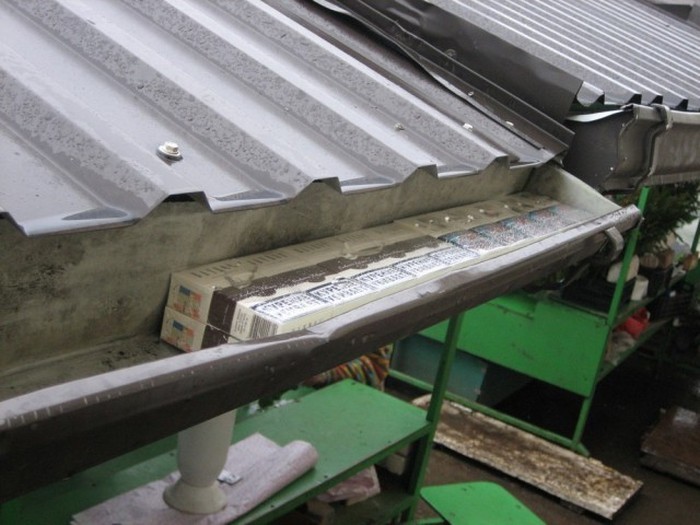 Контрабандисты спрятали сигары в очень неожиданном месте (16 фото)