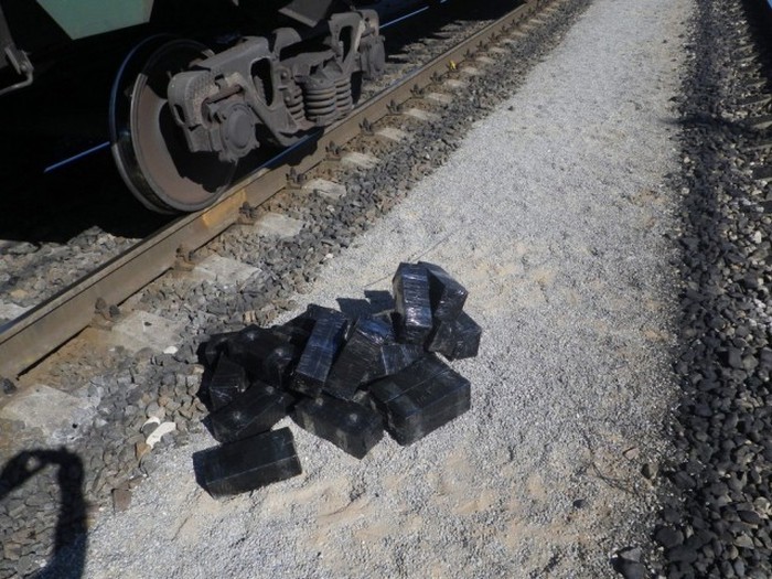 Контрабандисты спрятали сигары в очень неожиданном месте (16 фото)