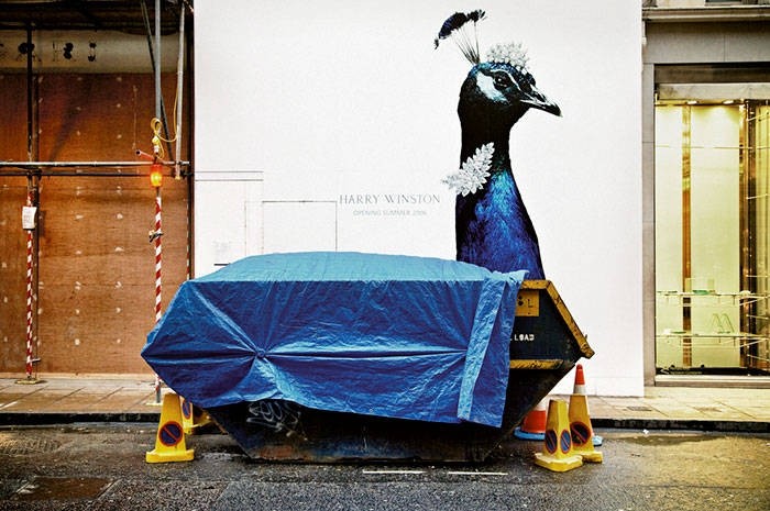 Удачные уличные фото