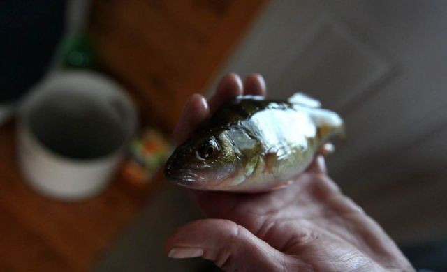 Домик для рыбалки (17 фото)