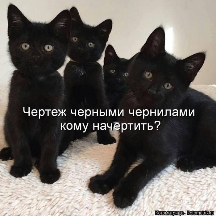 Забавные котоматрицы