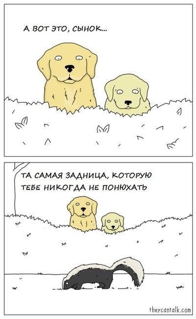 Забавные комиксы