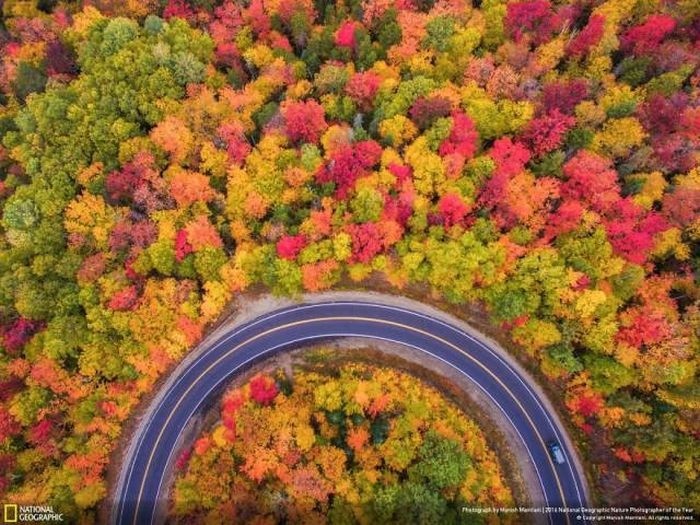 Лучшие работы фотоконкурса National Geographic Nature Photographer 2016