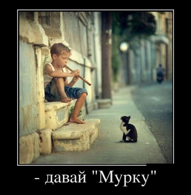 Демотиваторы (30 фото)