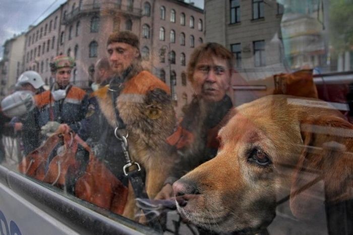 Зрелищные уличные снимки фотографа Александра Петросяна