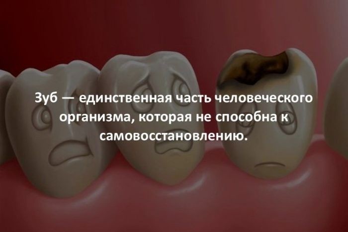 Интересные факты для любознательных