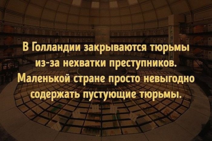 Интересные факты для любознательных