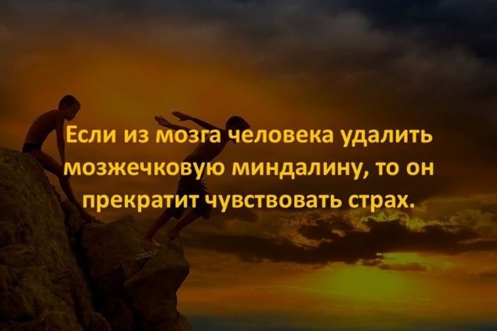 Интересные факты для любознательных