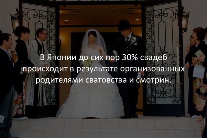 Интересные факты для любознательных