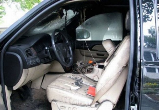Взорвался мобильник в машине (5 фото)