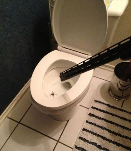 Туалетный юмор