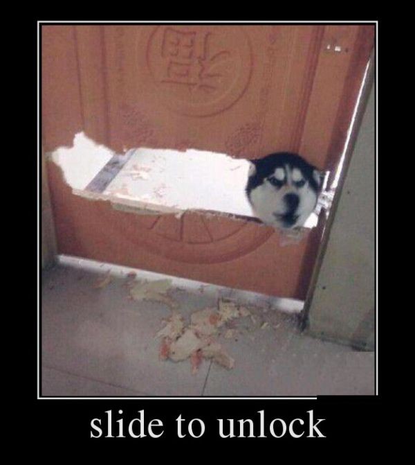 Демотиваторы (30 фото)