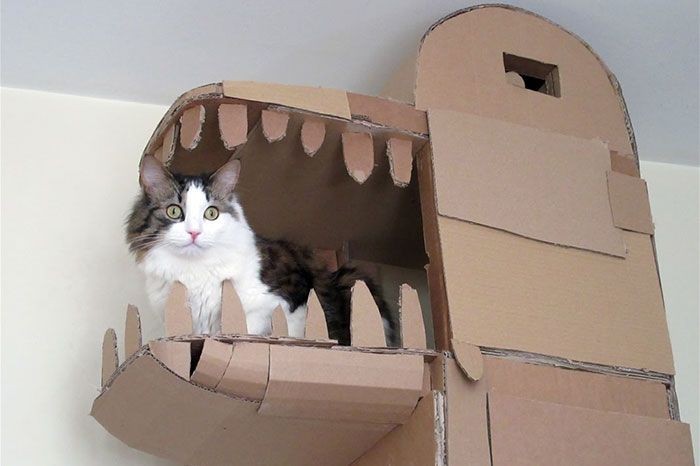 Картонный замок для любимой кошки