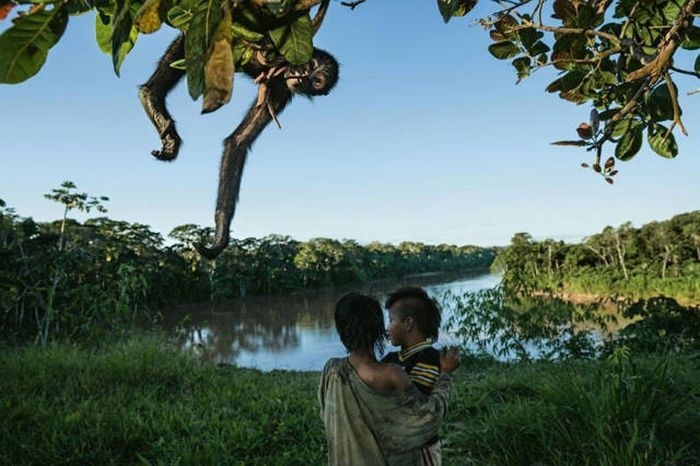 Лучшие фото журнала National Geographic 2016 года