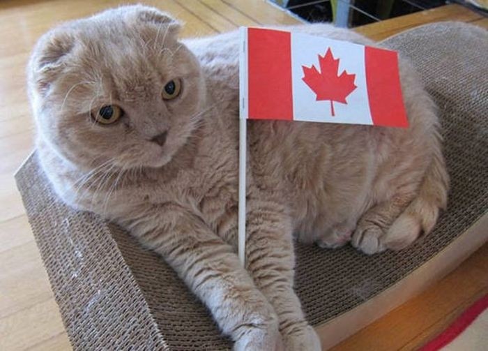 Смешные фото из Канады