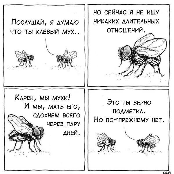 Забавные комиксы