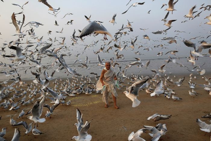 Главные фото года по версии агентства Reuters (32 фото)