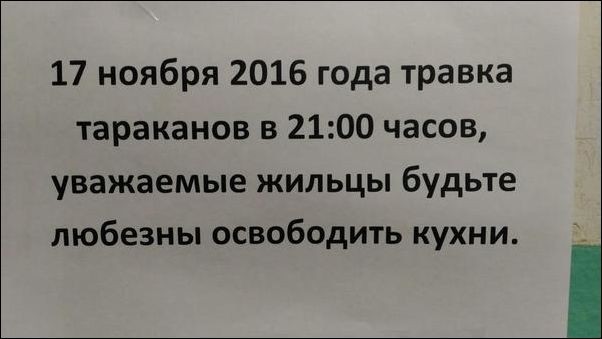 Прикольные надписи и объявления