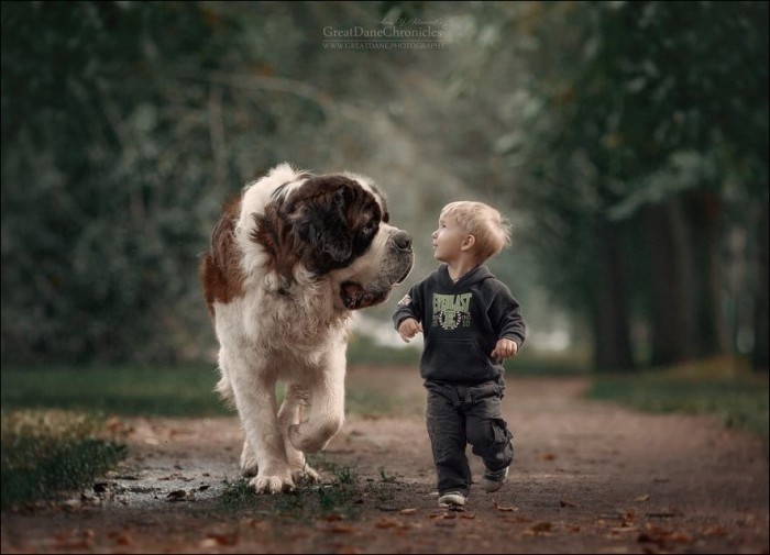 Маленькие дети с большими собаками