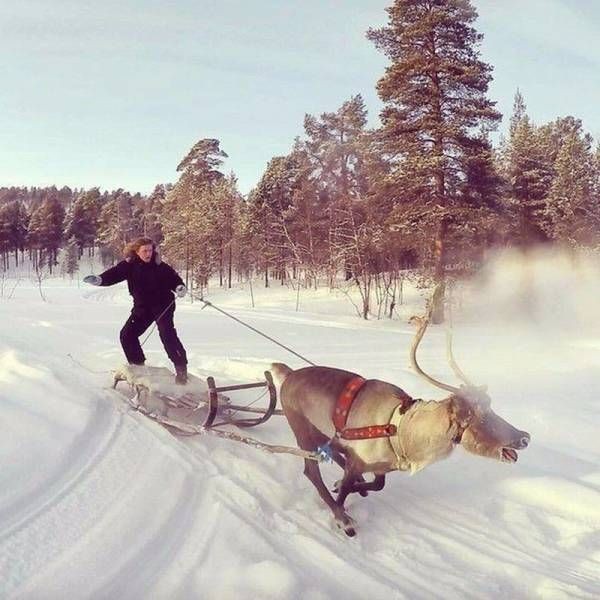 Подборка прикольных фото  (105 фото)