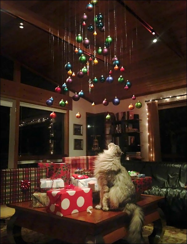 Как обезопасить елку от домашних животных