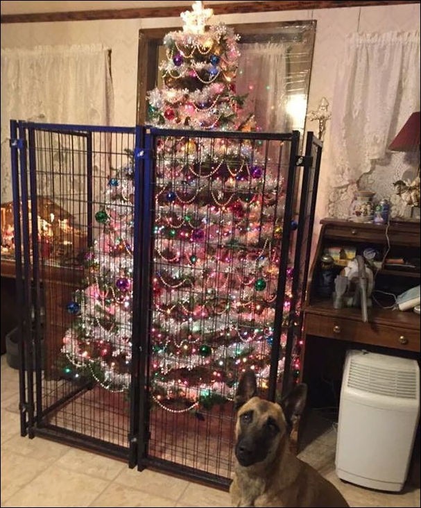 Как обезопасить елку от домашних животных