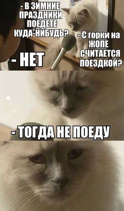 Новогодний юмор