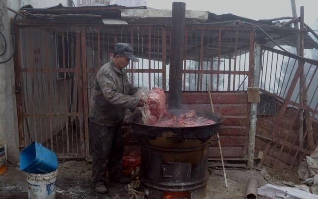 Китайский бизнесмен содержит волчью стаю в 150 голов