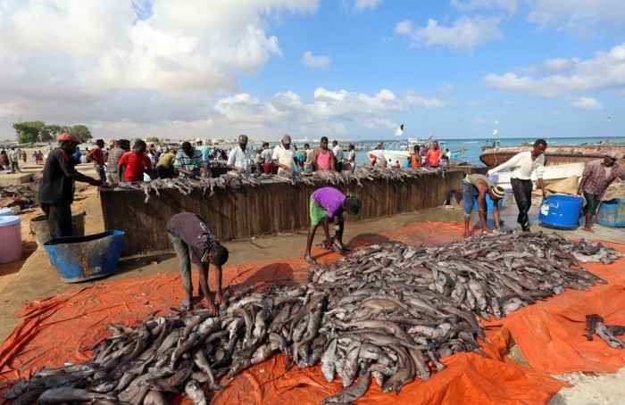 Рыболовный сезон в Сомали