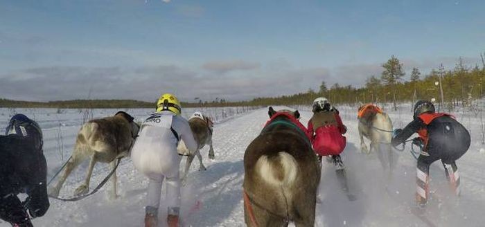 Подборка прикольных фото  (107 фото)