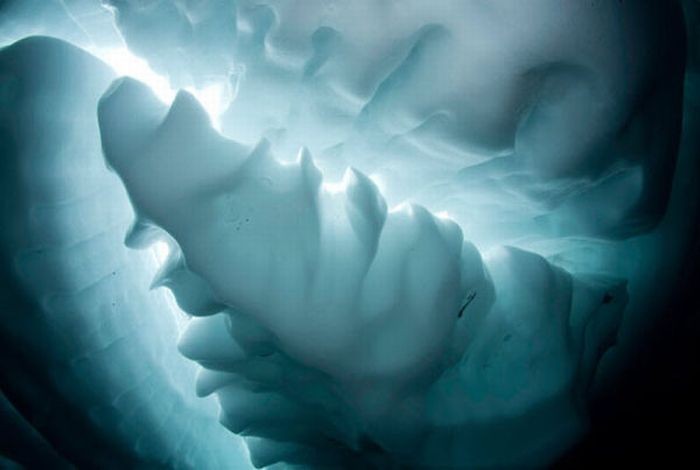 Дайвинг под толщей льда (15 фото)