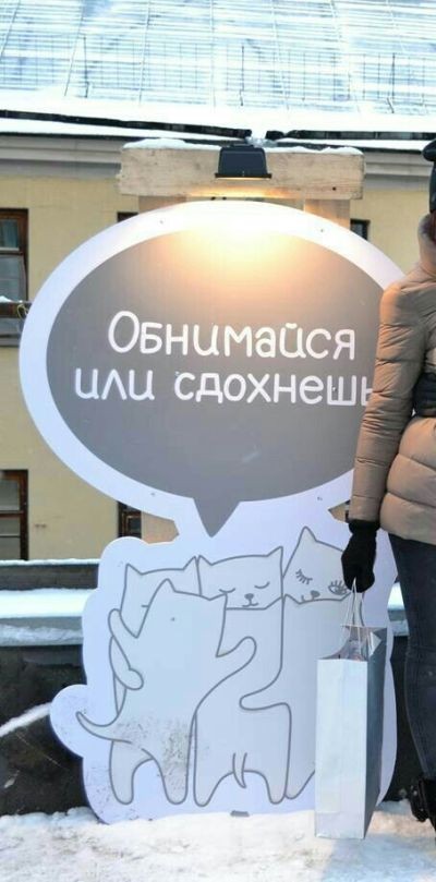 Подборка прикольных фото  (102 фото)