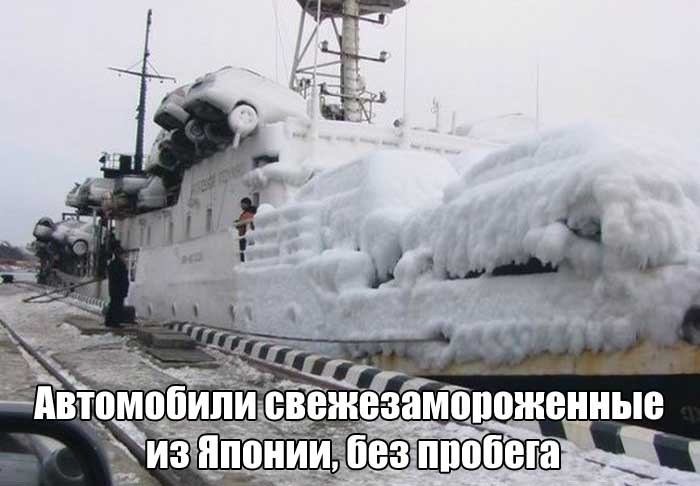 Подборка прикольных фото  (104 фото)