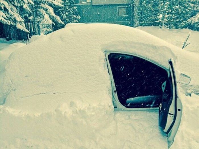 Подборка прикольных фото  (104 фото)